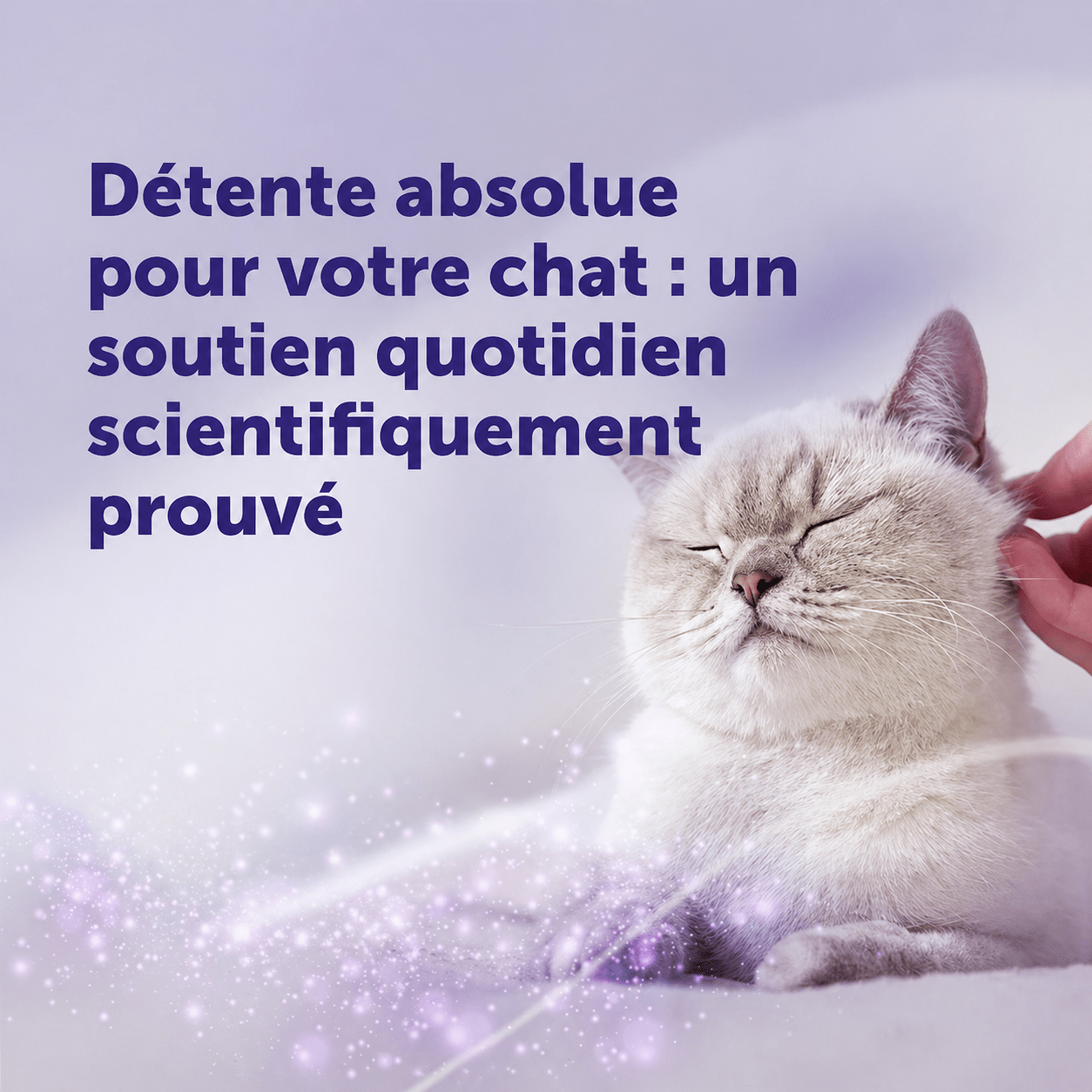 CALMIPAW Optimum - CalmiPaw